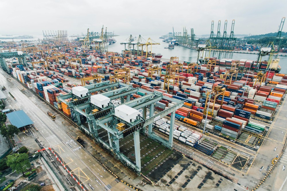 Container port with cranes and cargo