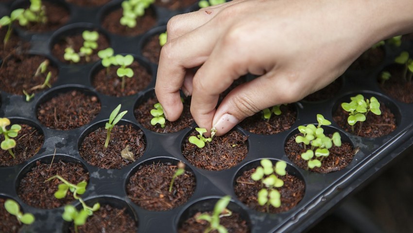 Smart Agriculture & Agri-Tech Solutions
